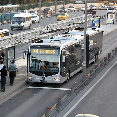 Dedem - Avcilar
